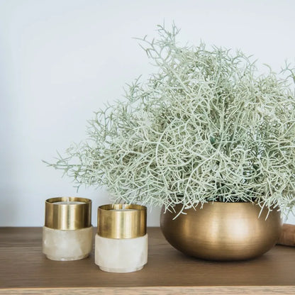 Brass Beauties Bundle - Cove Home