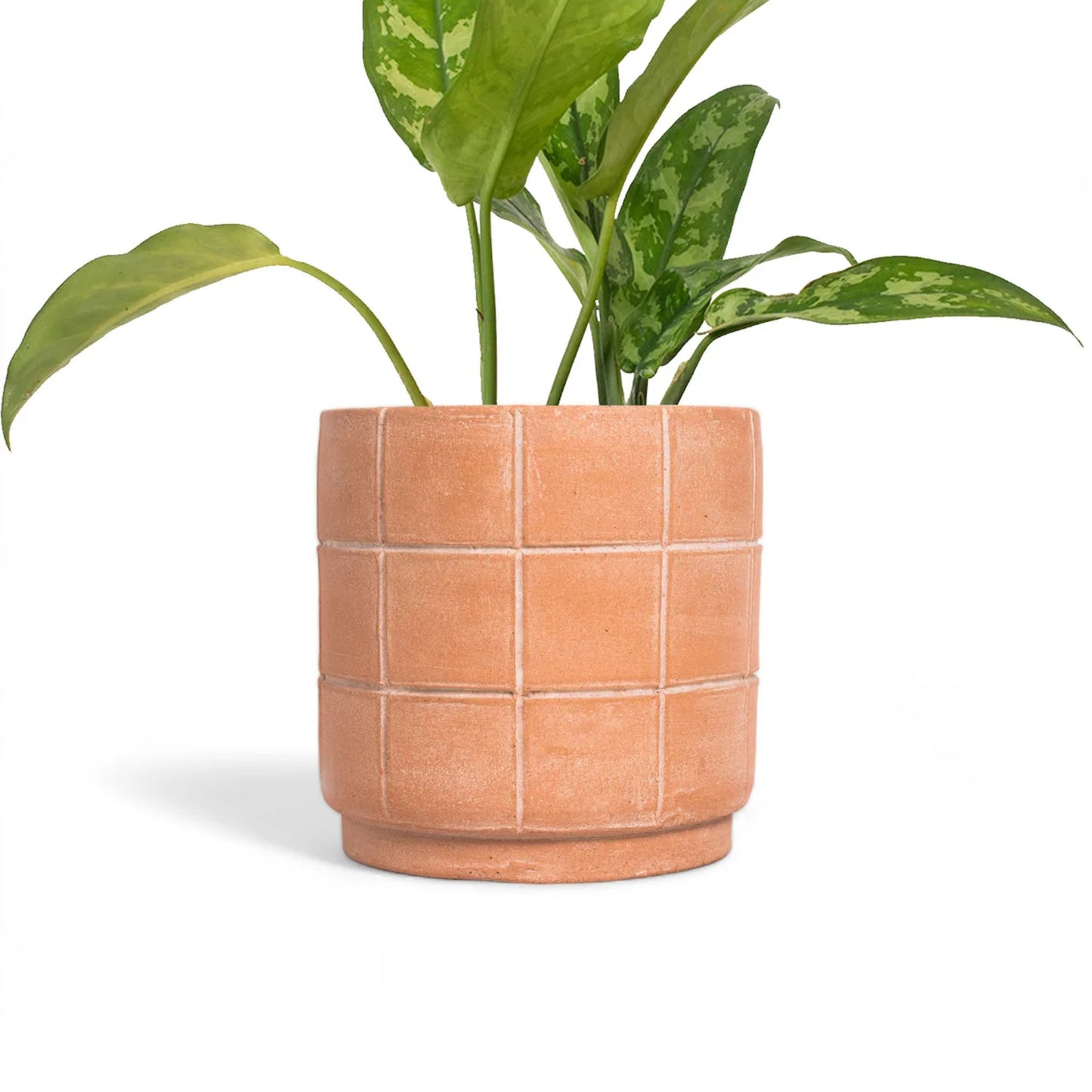 Grid Terracotta Planter - Medium